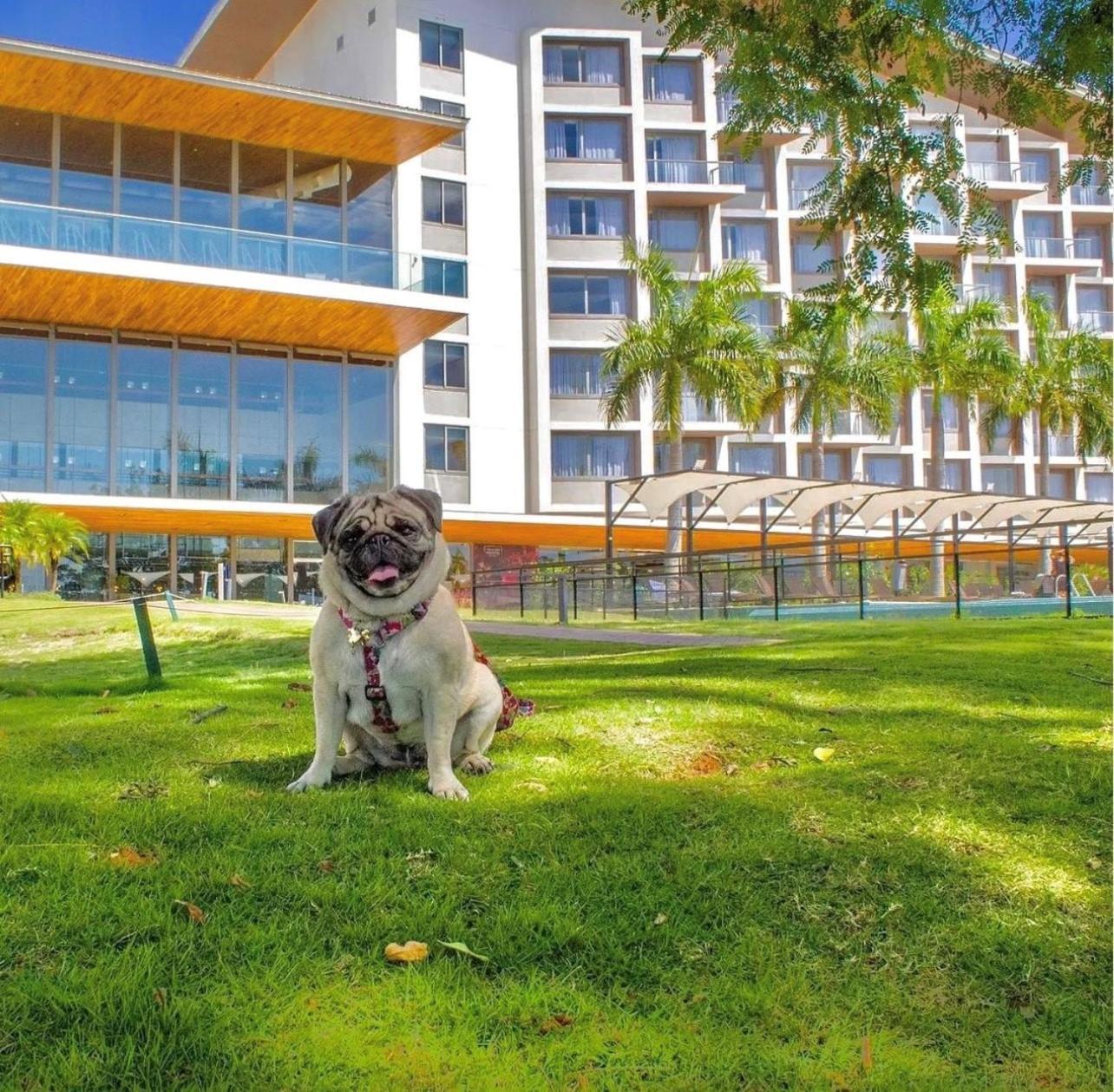 Novotel Itu Terras De Sao Jose Golf & Resort מראה חיצוני תמונה